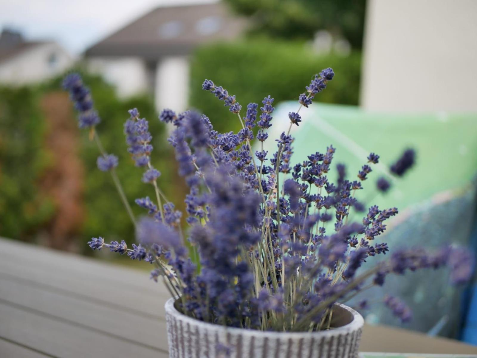 Ferienwohnung Sonnenblick Und Relax Sundern Zewnętrze zdjęcie