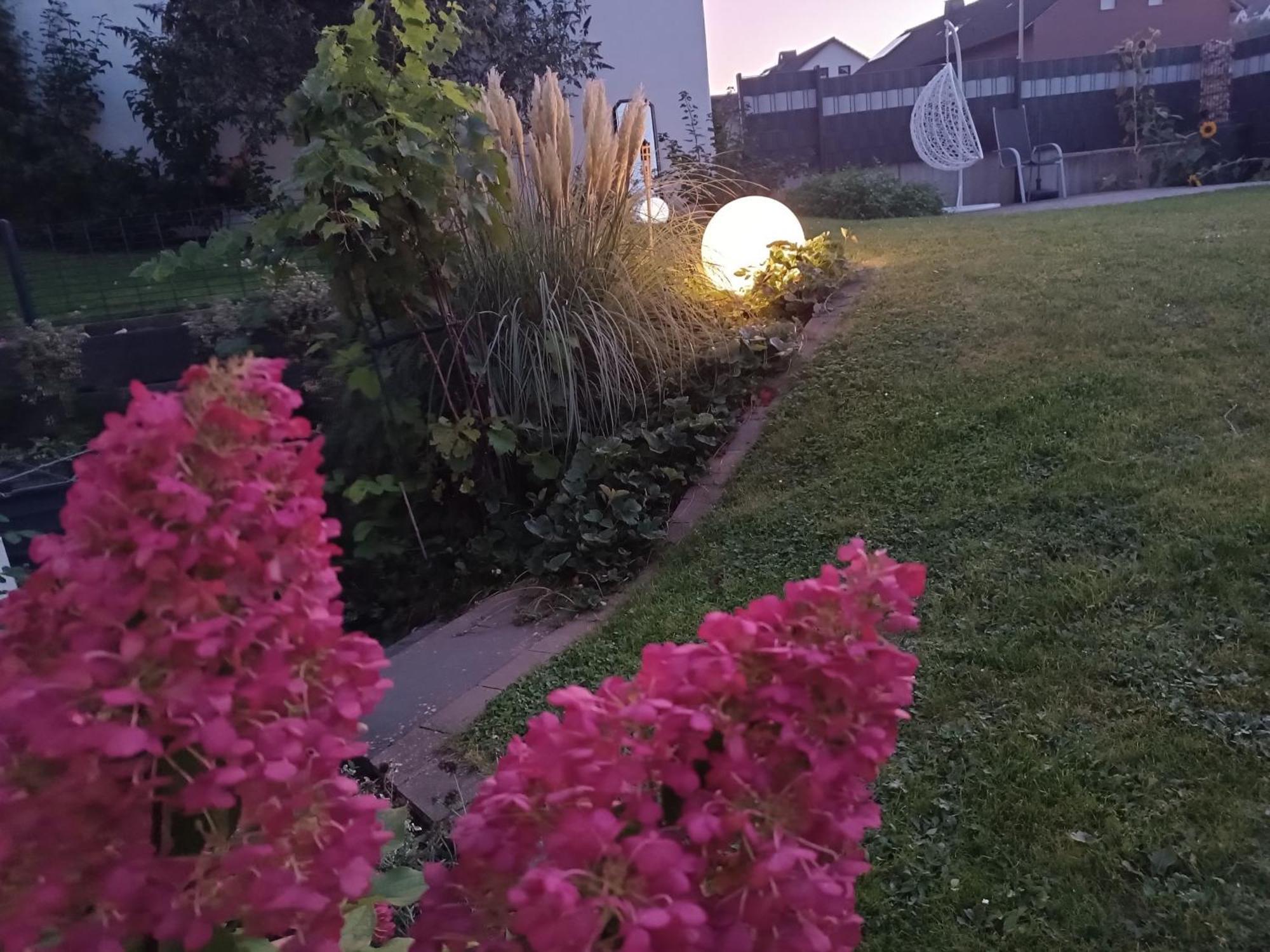 Ferienwohnung Sonnenblick Und Relax Sundern Zewnętrze zdjęcie